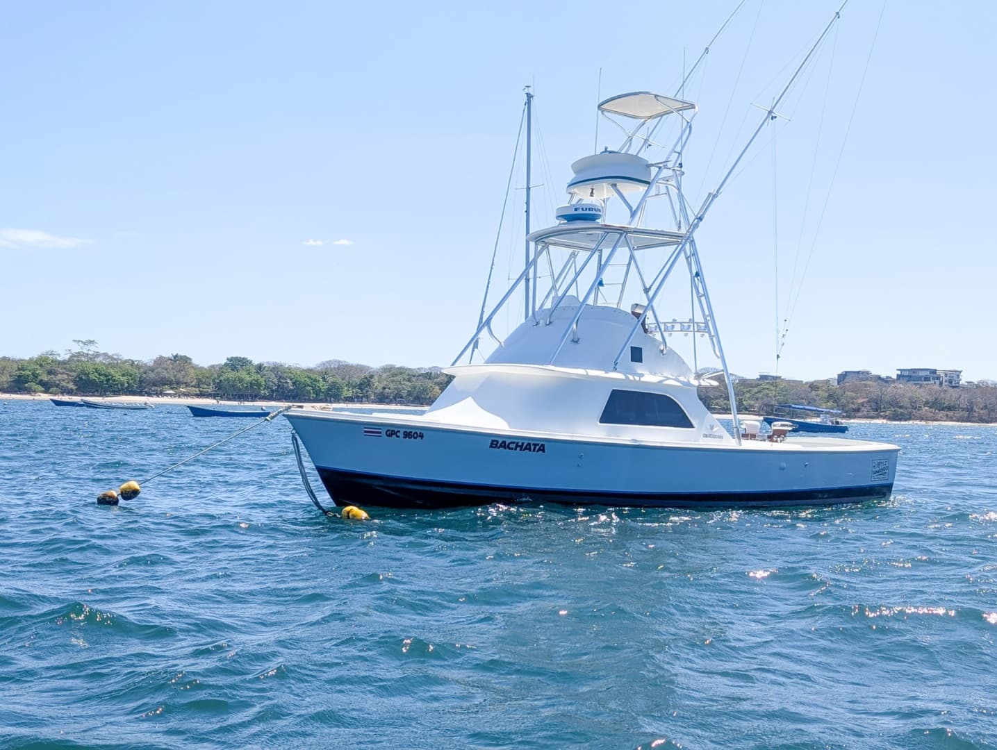 1973 Bertram Sportfisher — photo 2