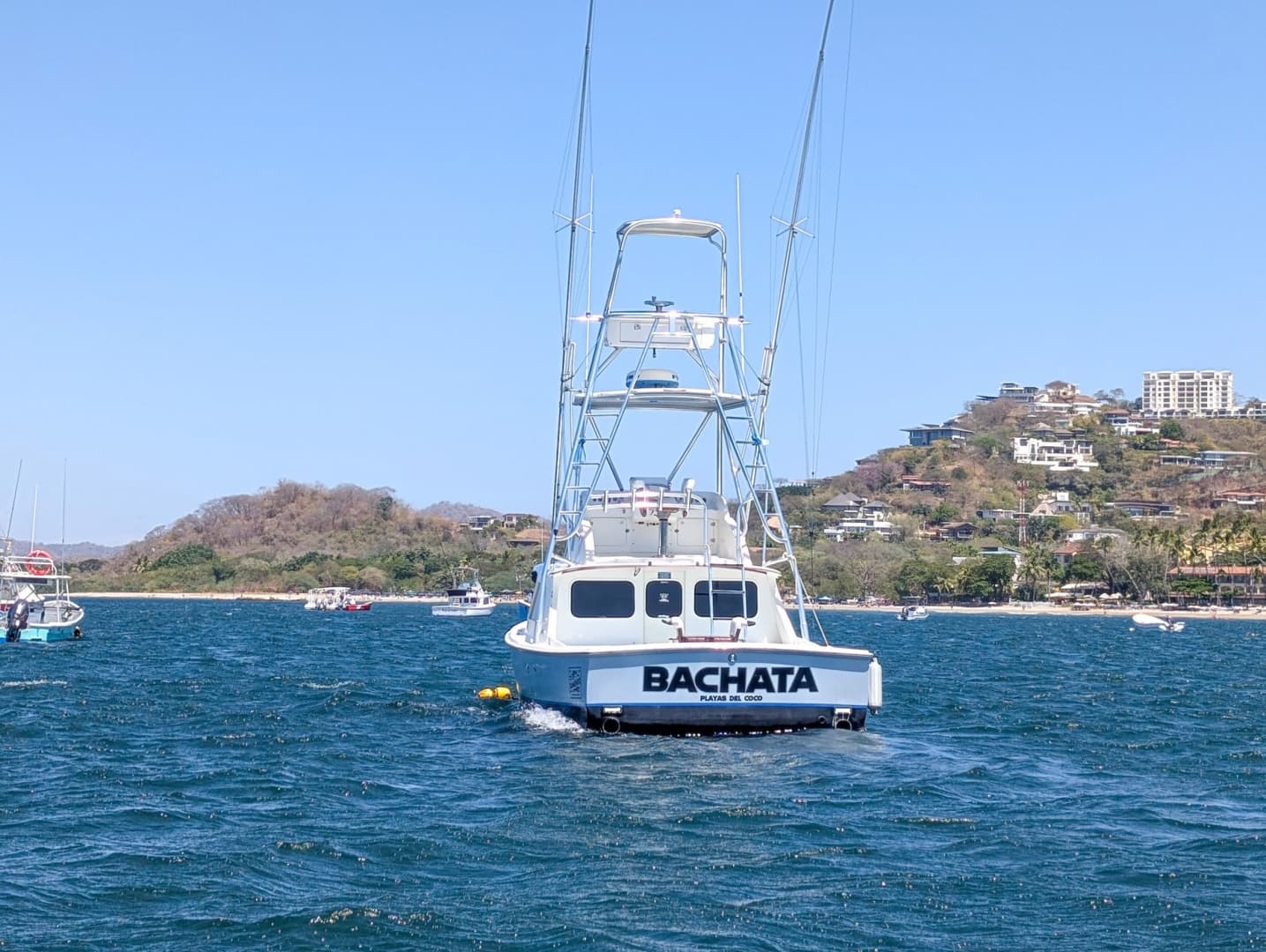 1973 Bertram Sportfisher — photo 4