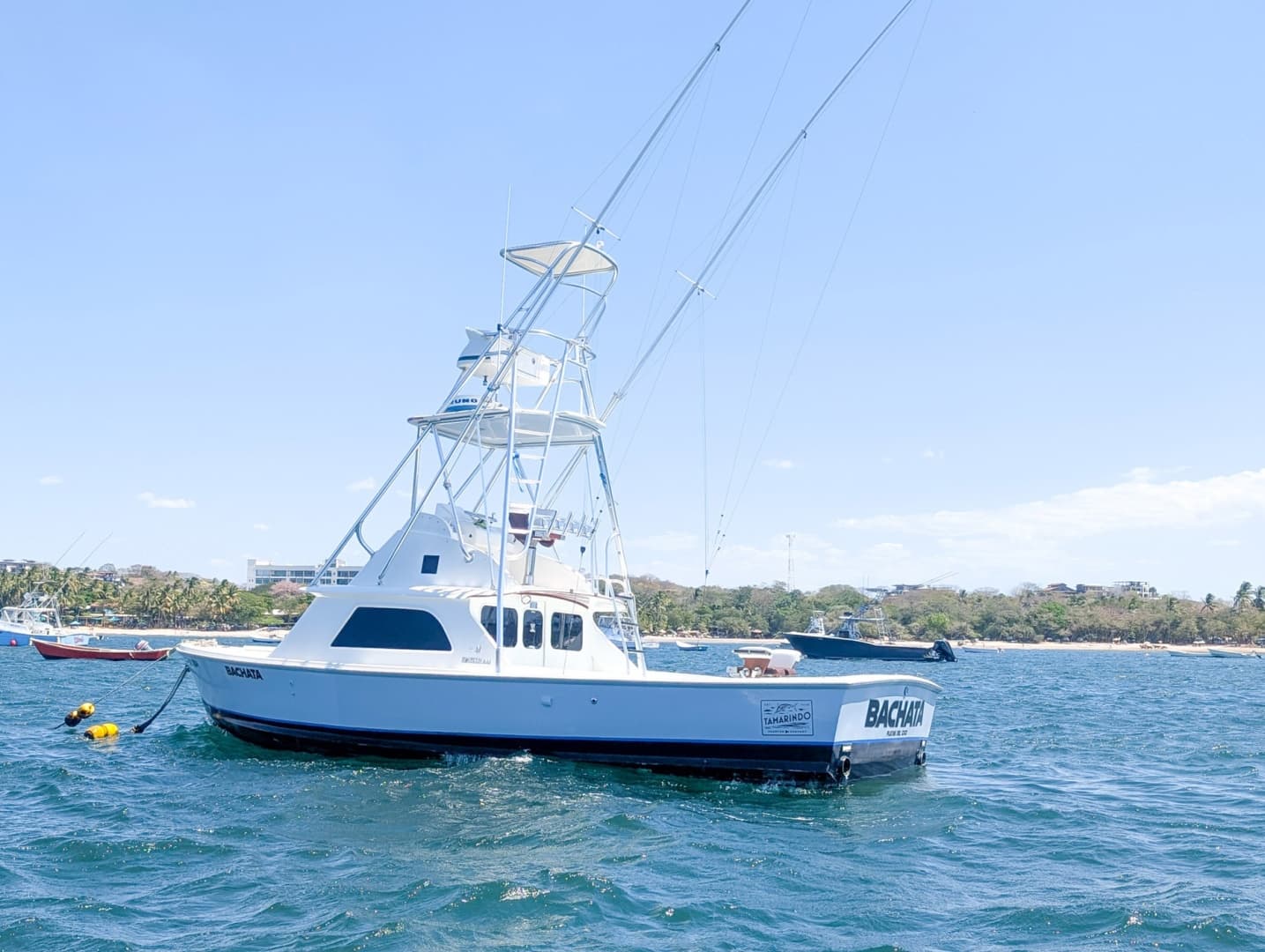 1973 Bertram Sportfisher — photo 3