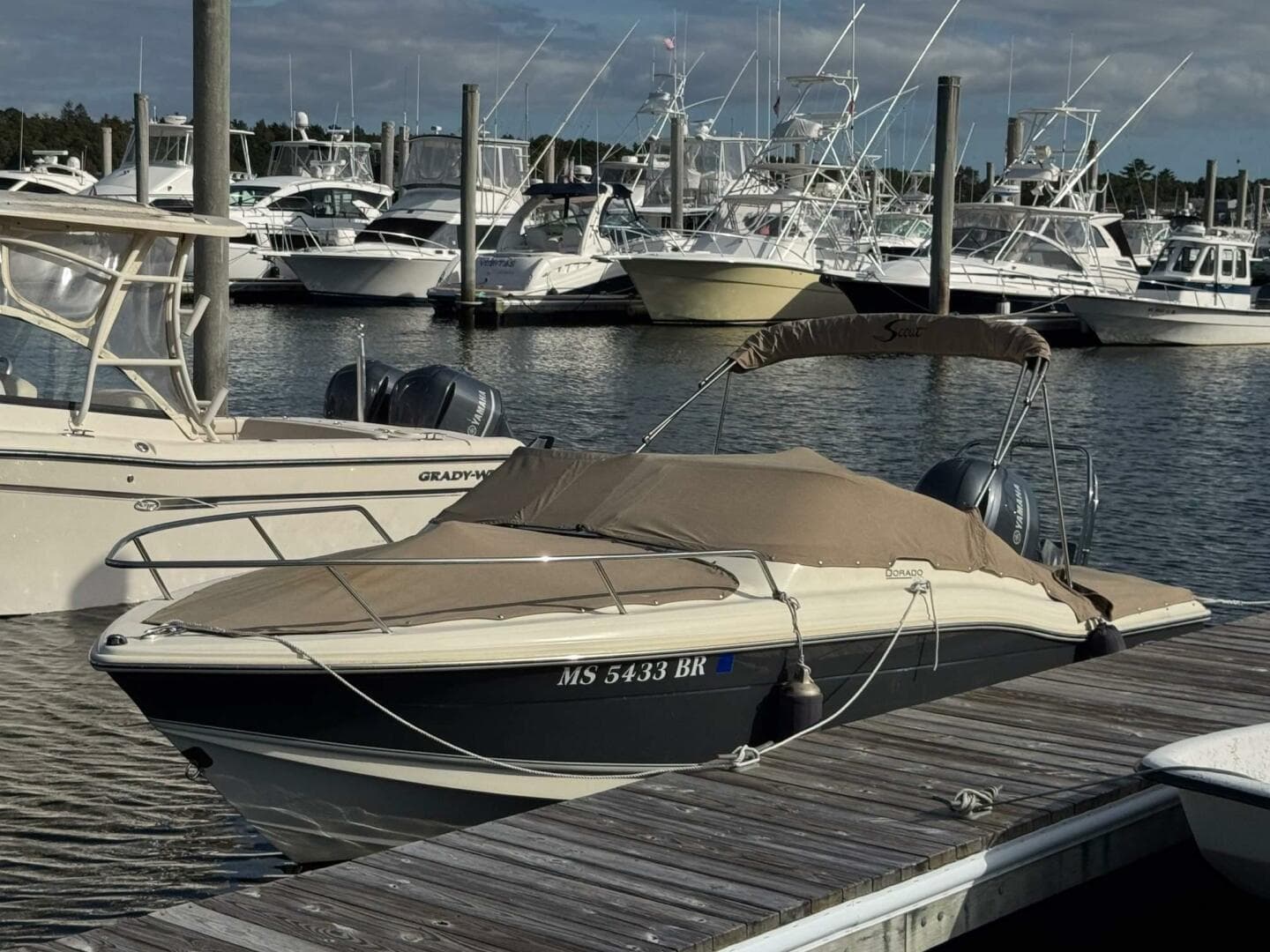 2018 Scout Dorado 210 — photo 8