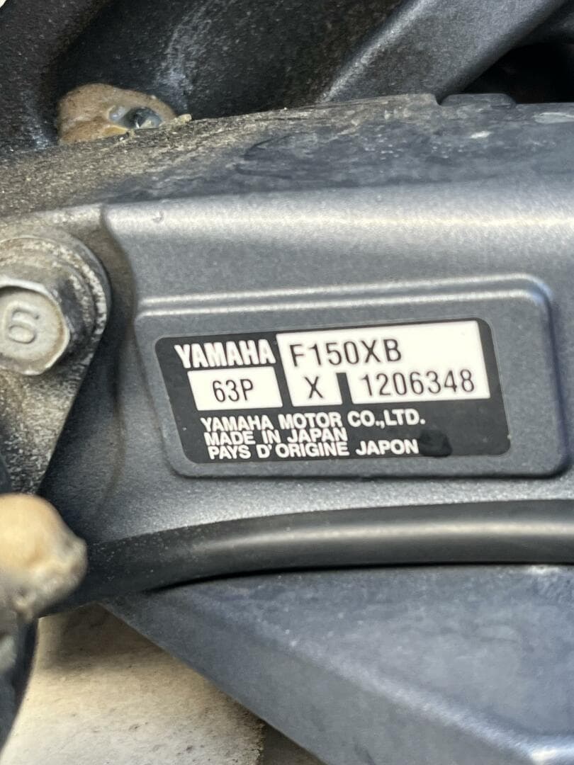 2018 Scout Dorado 210 — photo 60