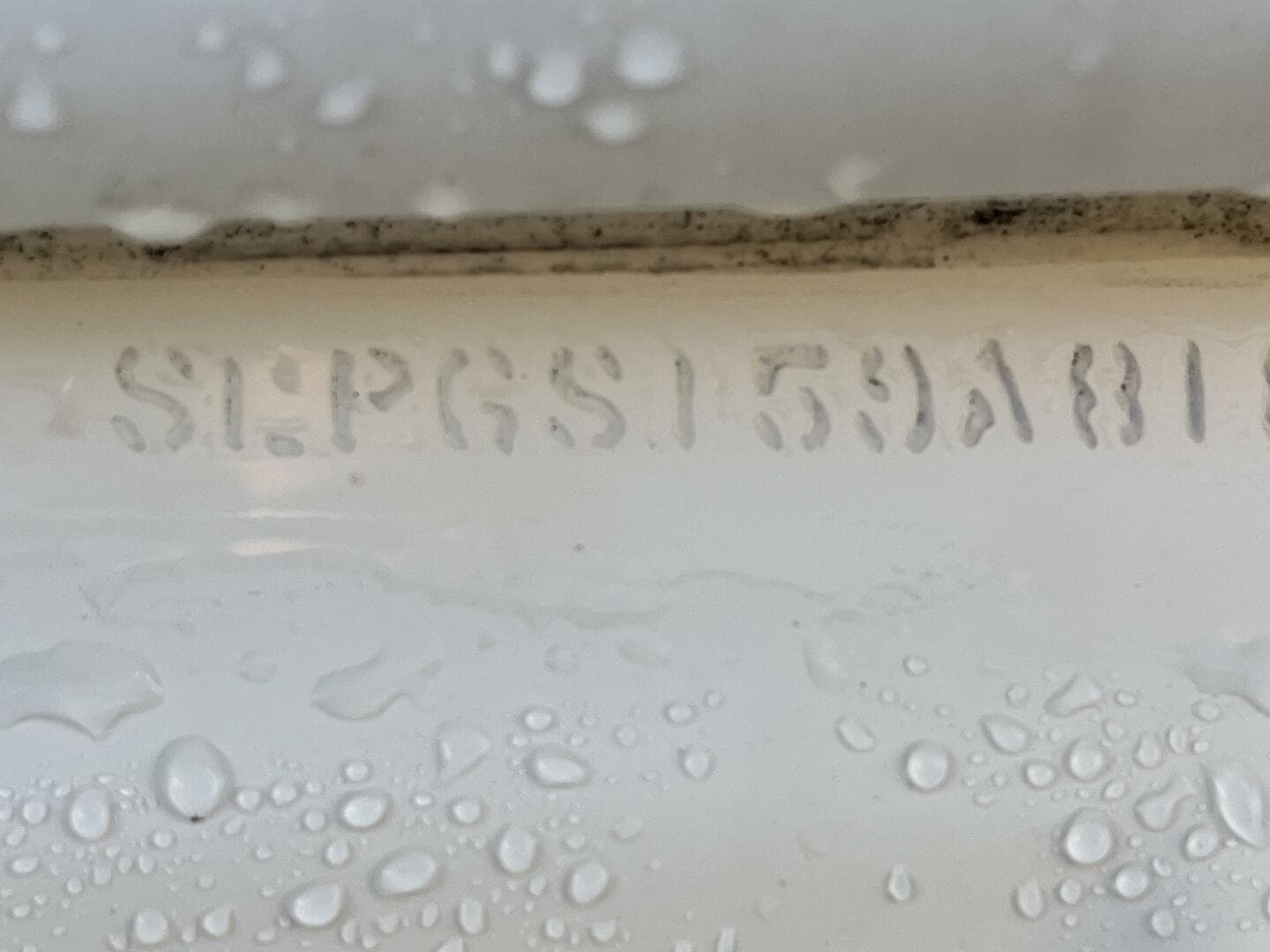 2018 Scout Dorado 210 — photo 59