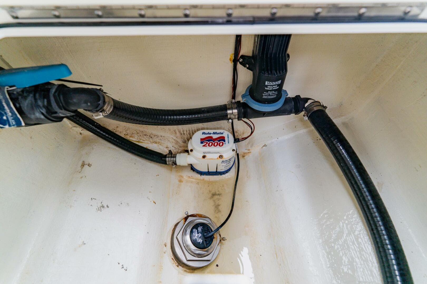 2024 Costa Custom 34 SV — photo 46